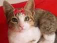 Tina 