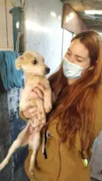PIRATA