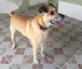 Bob