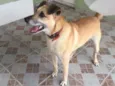 Bob