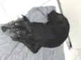 Léo