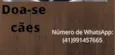 Bebezinhos