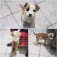 Nina