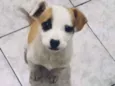 Nina