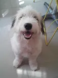 Bailey