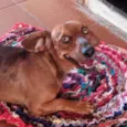 Milo