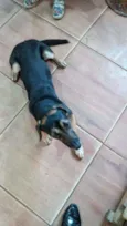 Francisco
