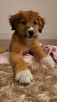 Meg