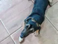 Francisco