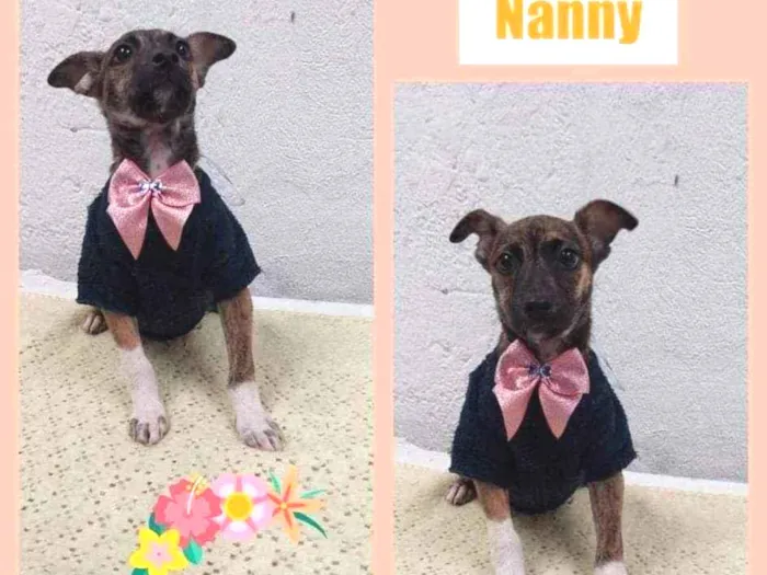 Nanny
