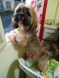 Zeus