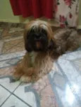Zeus