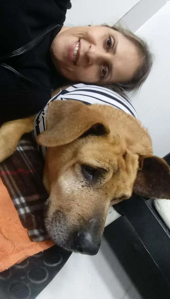Cachorro ra a srd idade 6 ou mais anos nome Sara
