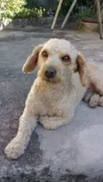 Junior