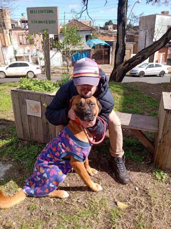 Cachorro ra a Fila Brasileira idade 1 ano nome Neguinha