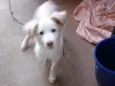 Lolita