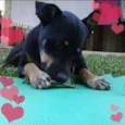 Ted