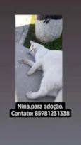 Nina