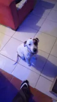 Bob