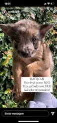 Ragnar