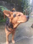 Spike