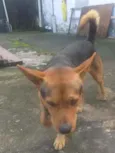 Spike