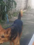 Spike