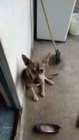 Bili