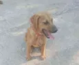 Zac