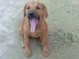 Zac