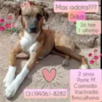 Drika