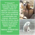 Princesa e Fofa 