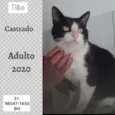 Tião 