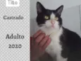 Tião 