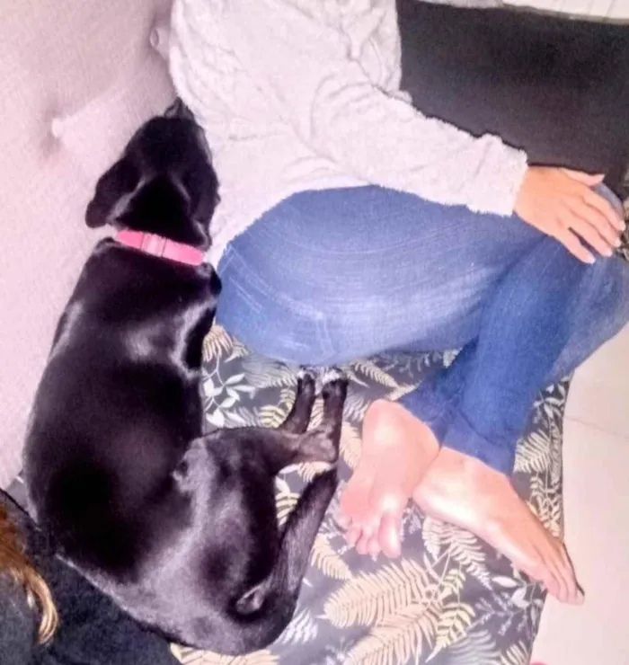 Cachorro ra a Srd idade 7 a 11 meses nome Pink