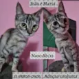João e Maria 