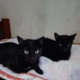Marias