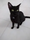 Amanda