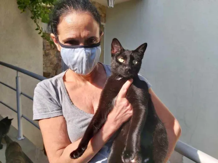 Gato ra a Srd idade 7 a 11 meses nome Amanda 