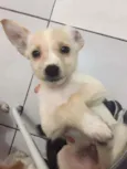 Ainda não tem