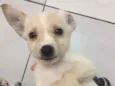 Ainda não tem