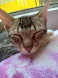 Bebê 
