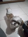 Fred 