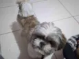 Fred 