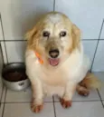 Frida