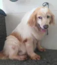Frida