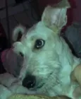 Denis