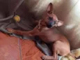 Zoe
