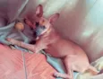 Zoe