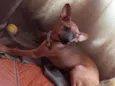 Zoe